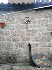 IMG 20220313 113250-min