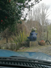 IMG 20220313 113306 1-min